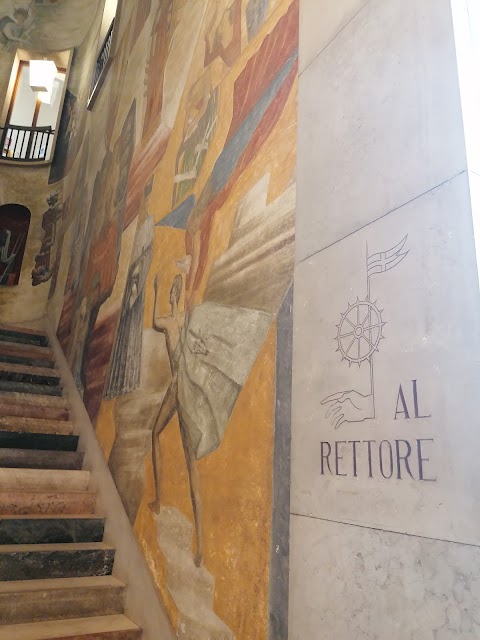 UNIPD Store Palazzo Bo, Università degli Studi di Padova