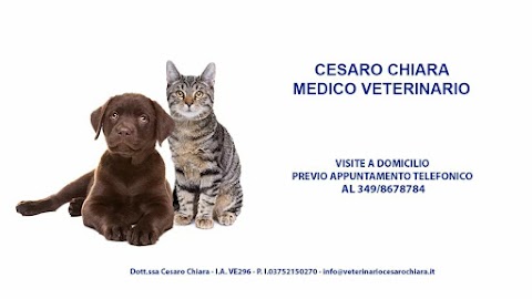 Veterinario a Domicilio - Cesaro Chiara