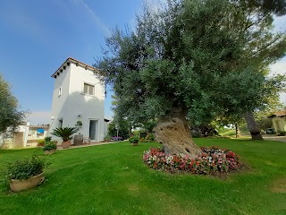 La Stornara | Agriturismo in Puglia