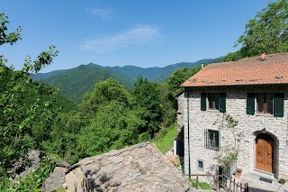 La casa nel bosco