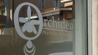 Impresa di pulizie Orchidea