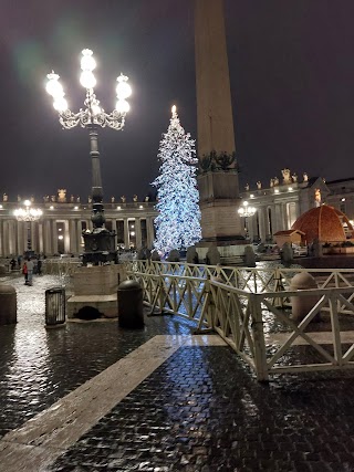 Una Guida Turistica a Roma