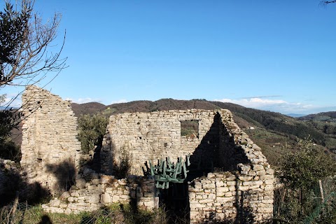 Comune di Monsummano Terme