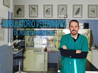 Ambulatorio Veterinario Pelizzari M. Inselvini M.