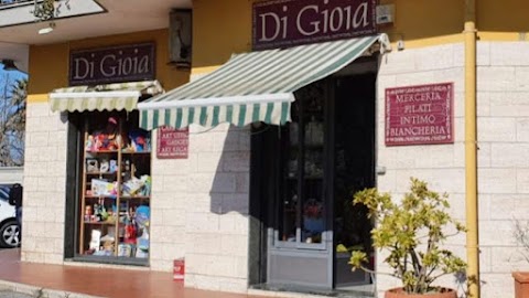 DDG Store di Di Gioia Denise