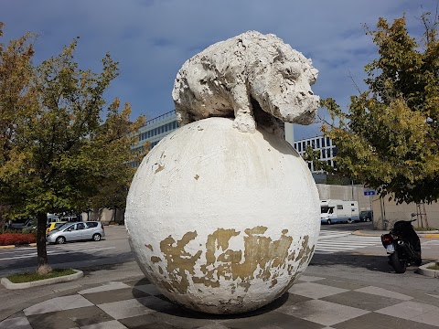 Piscina Agonistica Comunale Bruno Bianchi Trieste