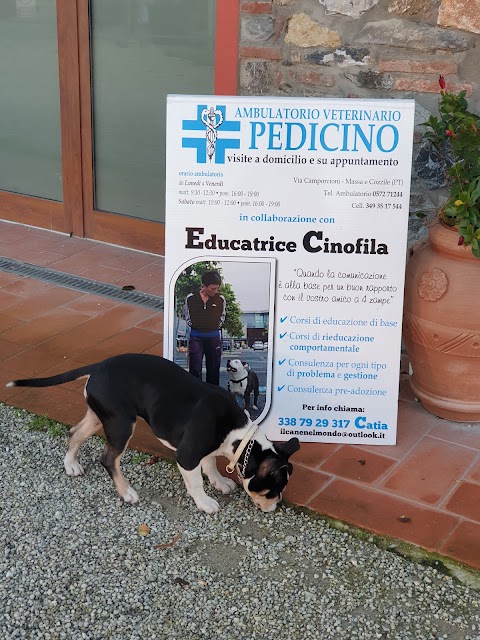 Ambulatorio Veterinario Pedicino di Perniconi Elena