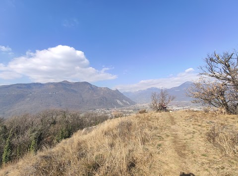 Parco Naturale Laghi di Avigliana