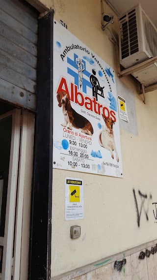 Ambulatorio Veterinario Albatros