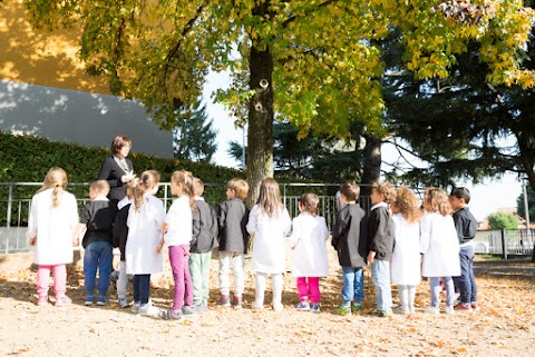 Scuola Primaria Don Luigi Monza