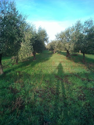 Azienda Agricola Tenuta Cesano