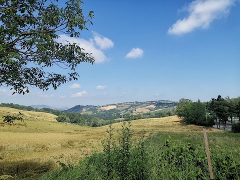 Parco Matildico di Montalto