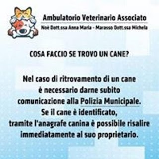 Ambulatorio Veterinario Associato Noe' Marasso