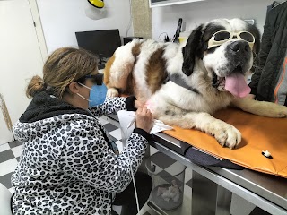 Clinica veterinaria "Santi Medici" della dott.ssa Cinzia Convertino