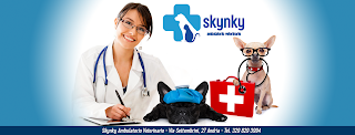 Ambulatorio Veterinario Skynky | Pronto Soccorso per Animali | Centro Veterinario Andria