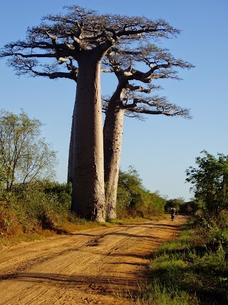 SANGALLO TOURS SNC