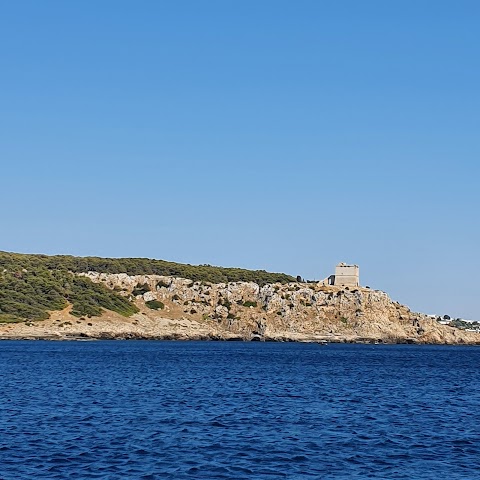 Porto Cesareo Charterboat