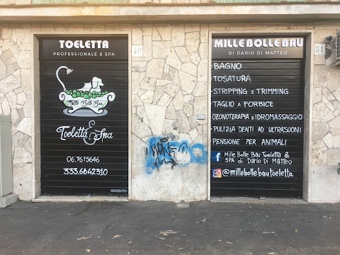 Mille Bolle Bau Toeletta & SPA Professionale di Dario Di Matteo