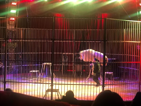 'Circo Maya Orfei Madagascar Monteforte Irpino