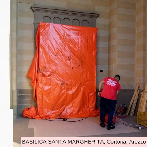 centro antitarlo Tarloout - Napoli