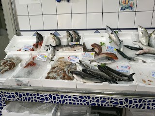 Pescheria Il Delfino