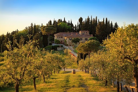 Le Filigare Winery & Accommodation