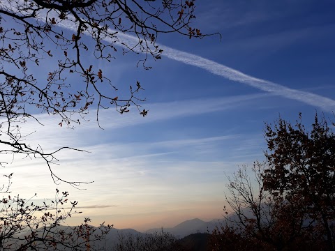 Area Naturalistica Frassineto