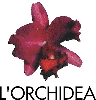 L'Orchidea snc di Manzini Maurizio e Manzini Cristian