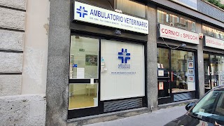 Ambulatorio Veterinario Spontini