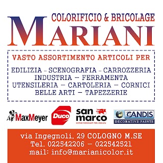 Mariani Paint Store