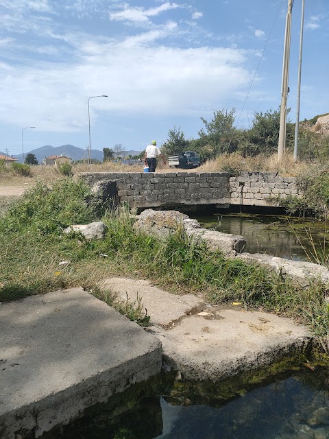 Sorgente fontana della Volpe