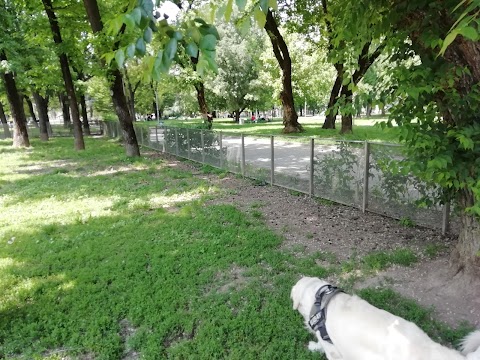 Dog Park