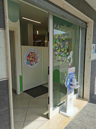 Coop. Sociale L'Accademia Dei Piccoli S.C.A.R.L