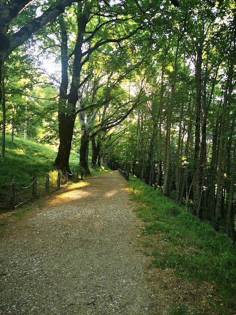 SPA Hotel Granduca in Campigna, Foreste Casentinesi