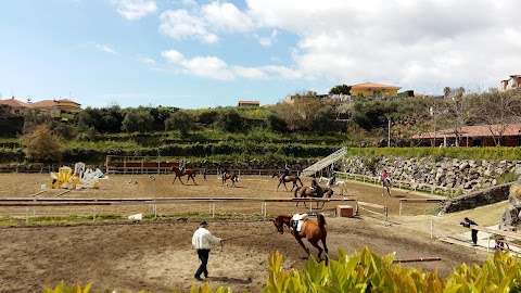 CIRCOLO IPPICO IL CILIEGIO - scuola di equitazione, Pony games, organizzazione compleanni a tema