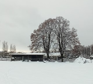 L'Oasi del Cavallo