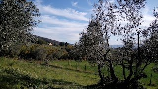 Ristorante La Pergola