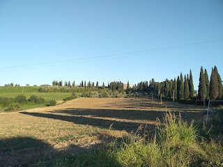 Tenuta Almabrada