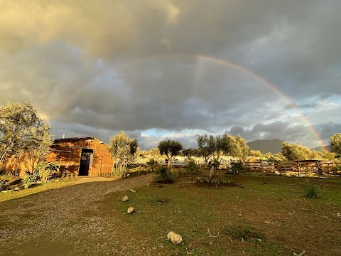 Centro di riproduzione equina Scaravet