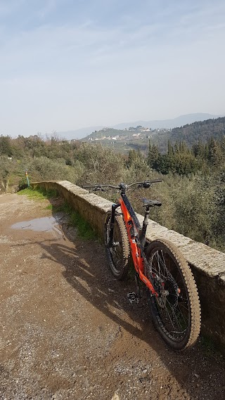 Fattoria Le Ginestre