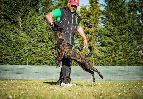 Dog Hotel il Gonnellino