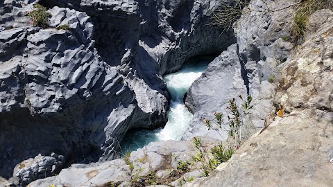 Gole Alcantara Parco Botanico e Geologico