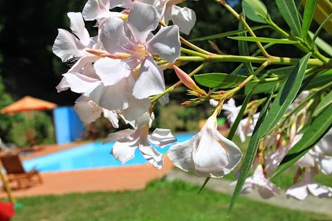 Agriturismo Il Glicine e la Lanterna