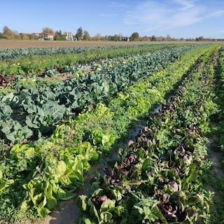 azienda agricola Tartari Mirco