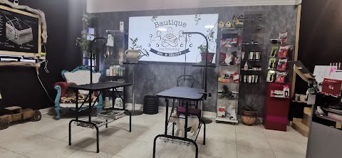 Bautique Grooming & Spa (ex Zoolandia) toelettatura cani