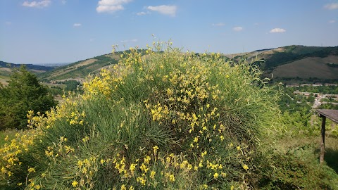 Agriturismo Il Ciuffo