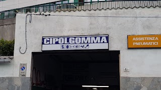 Cipolgomma