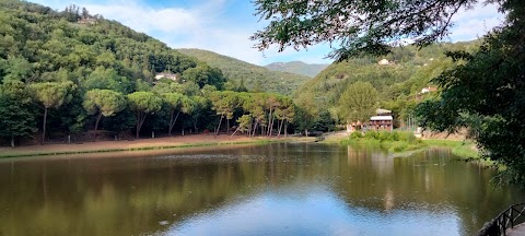 Centro visite Parco Nazionale delle foreste casentinesi, Monte Falterona e Campigna