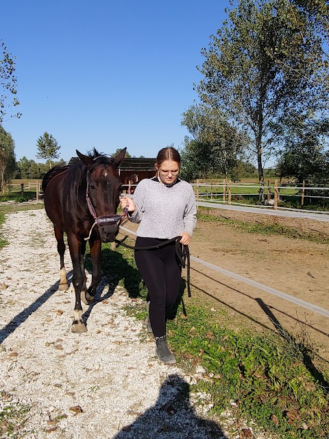 Centro Equestre - Il Primo Cavaliere