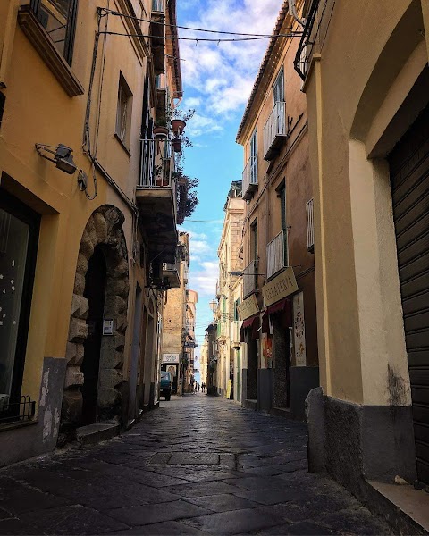 Tropea.biz